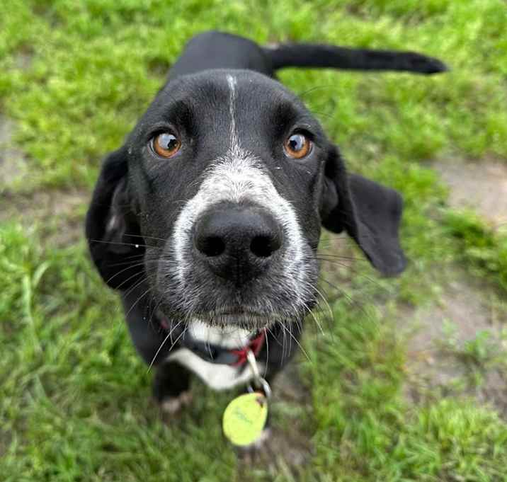 Photo of Delilah