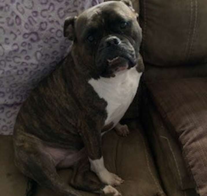Photo of Belle