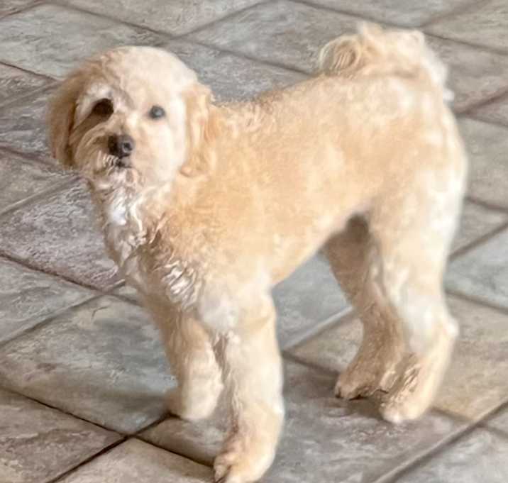 Photo of Freddie