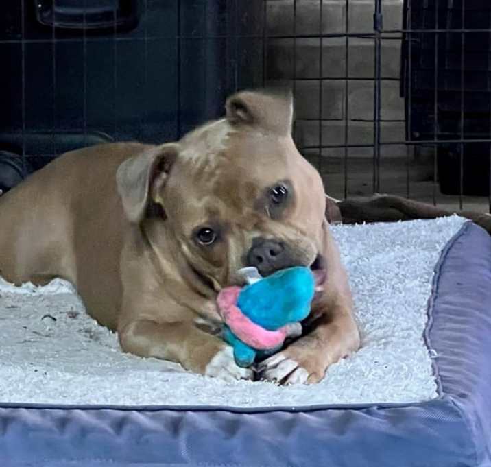 Photo of Penelope