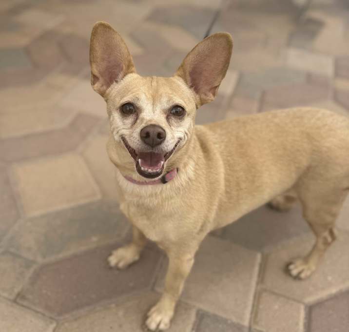 Rosie Photo #1