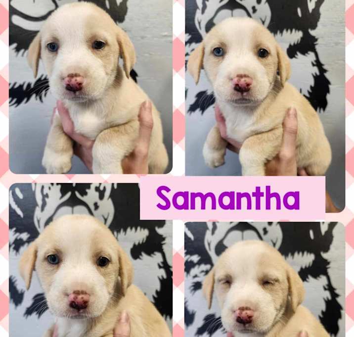 Photo of Samantha