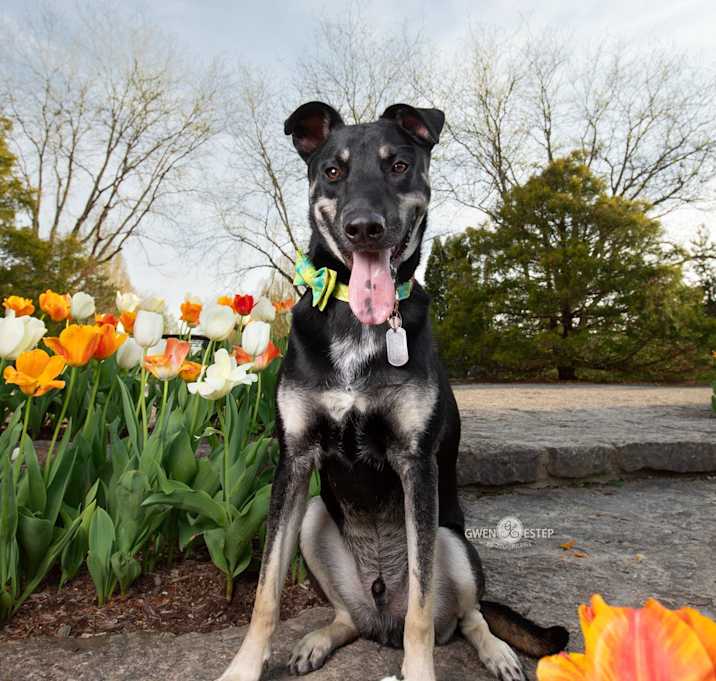 Photo of Judge