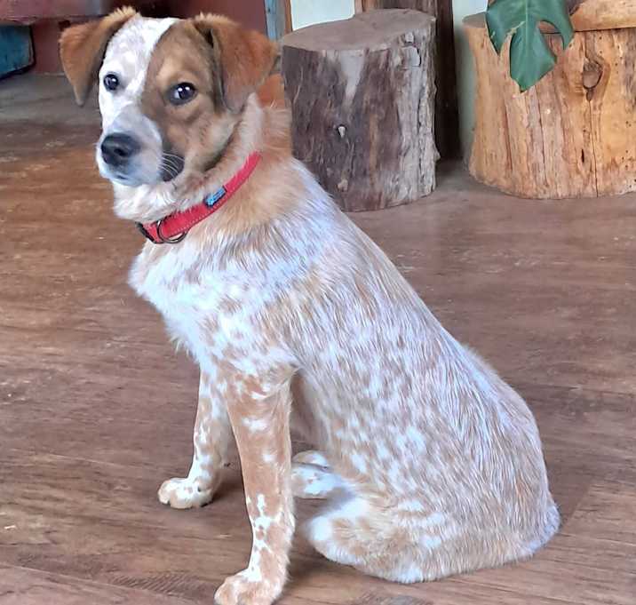 Photo of Annie