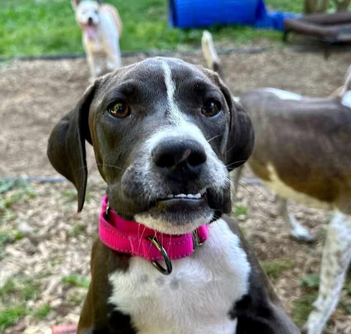 Photo of Captain Underbite
