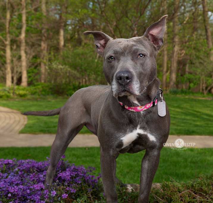 Photo of Misty Blue