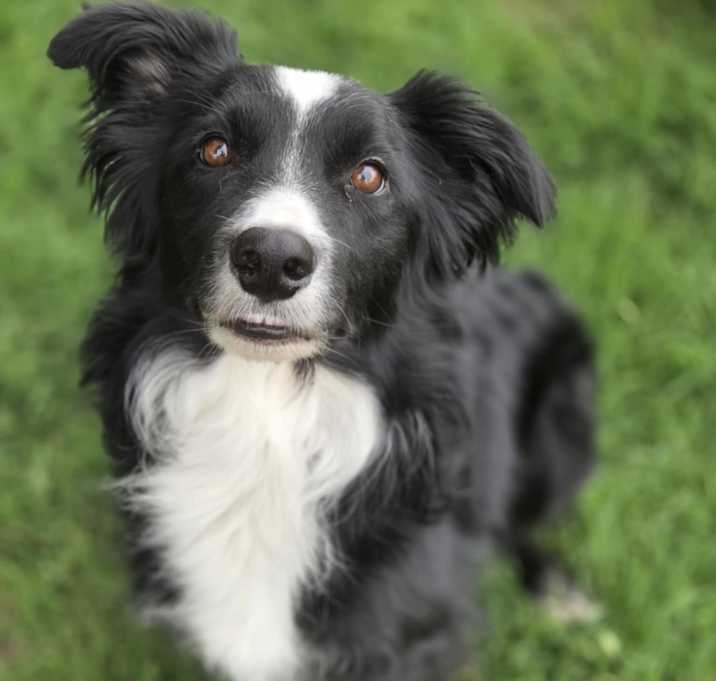 Photo of Max