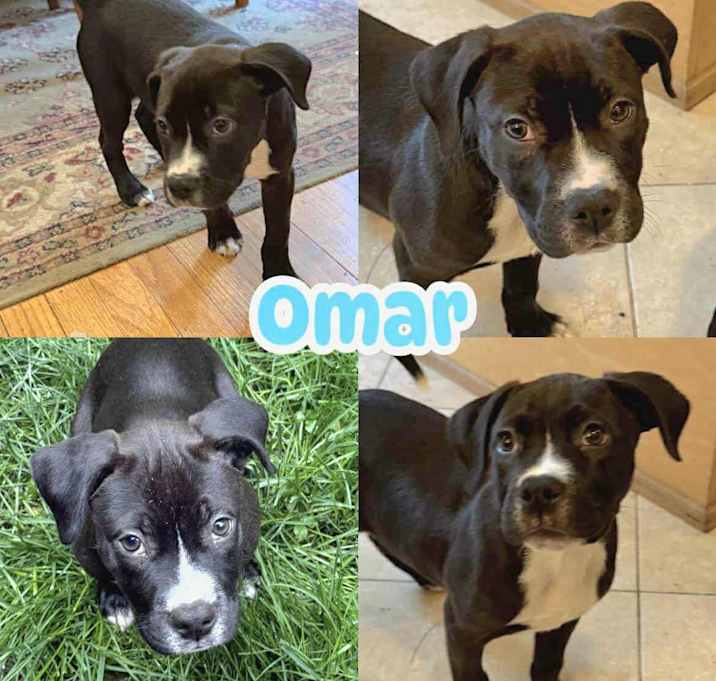Photo of Omar