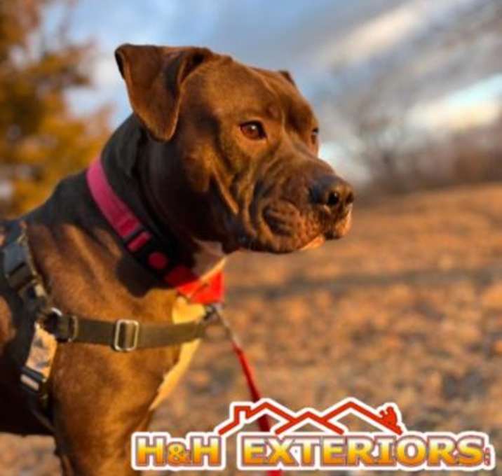 Photo of Fatboy