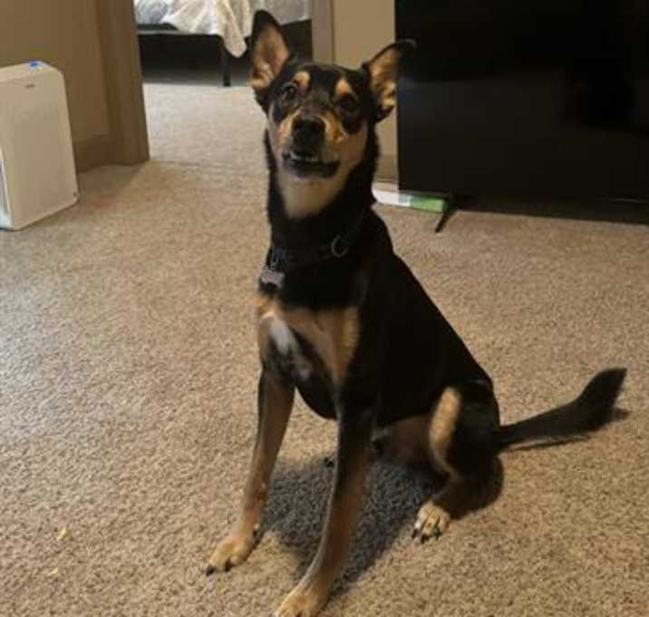 Photo of RYDER