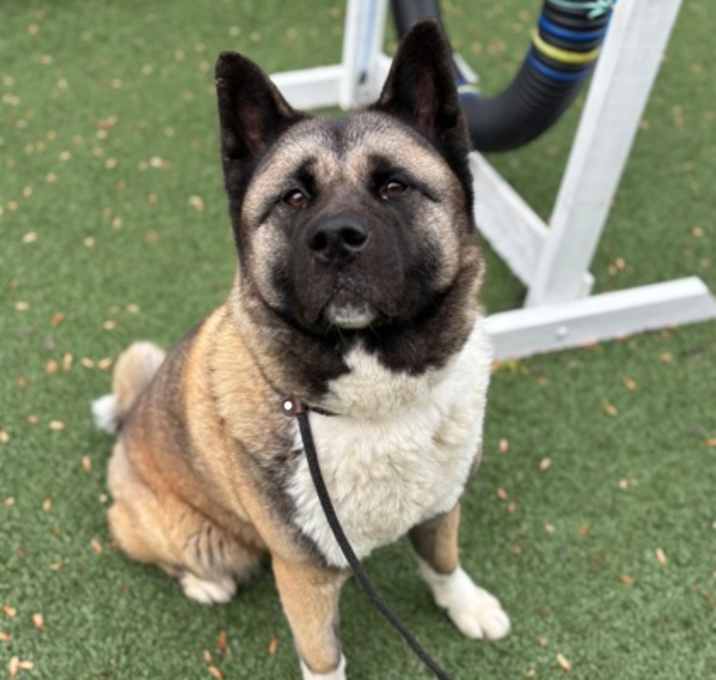 Photo of Nala Renee