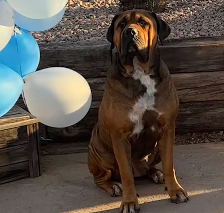 Photo of Bonnie