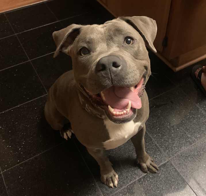 Photo of Nala