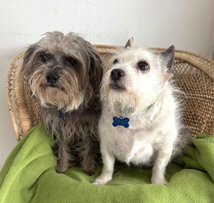 Photo of Jake and Einstein