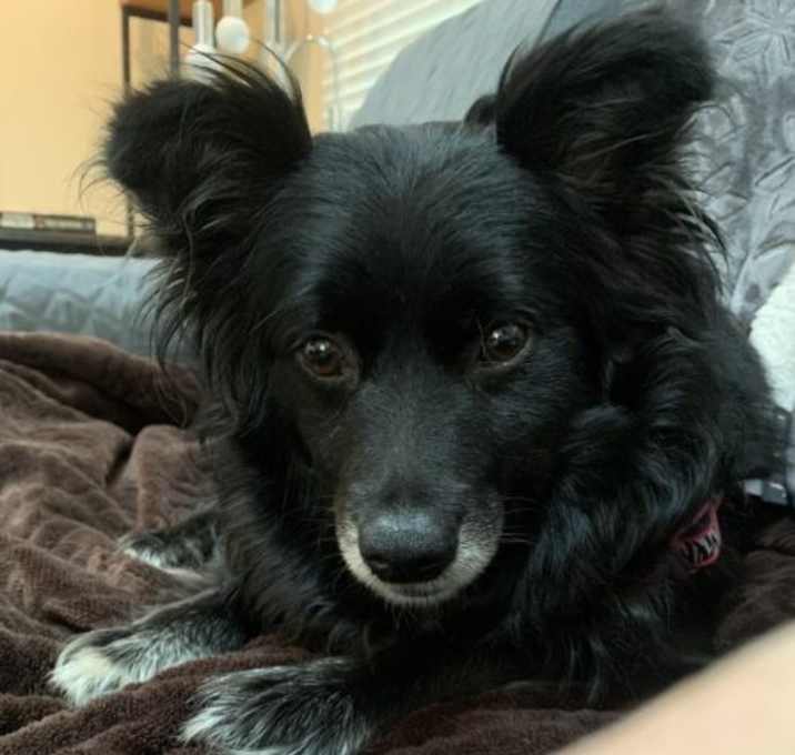 Photo of Sammy Jean Society