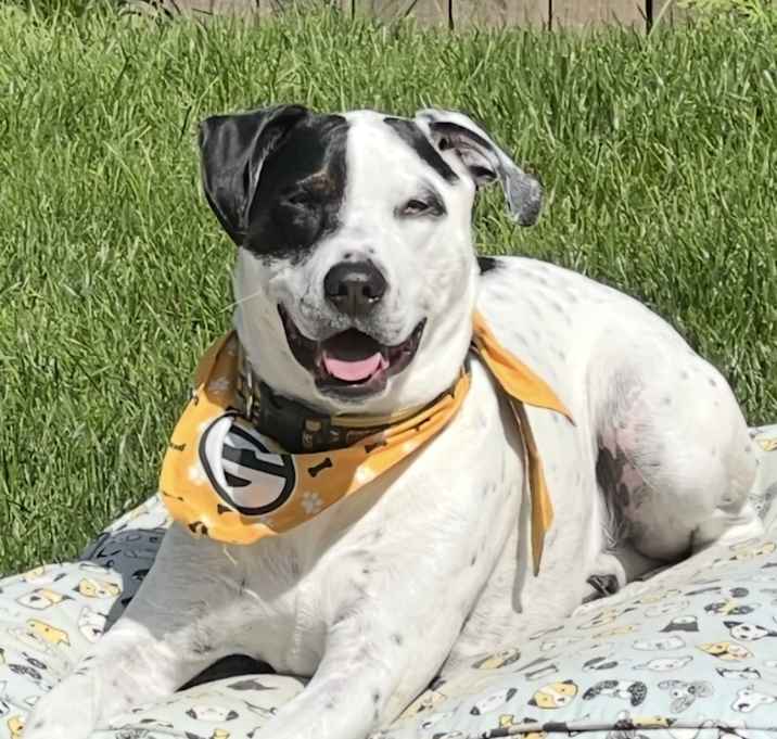 Photo of Loki