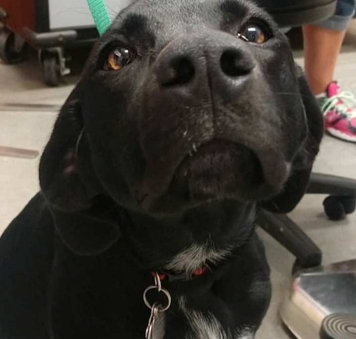 Photo of Ellie