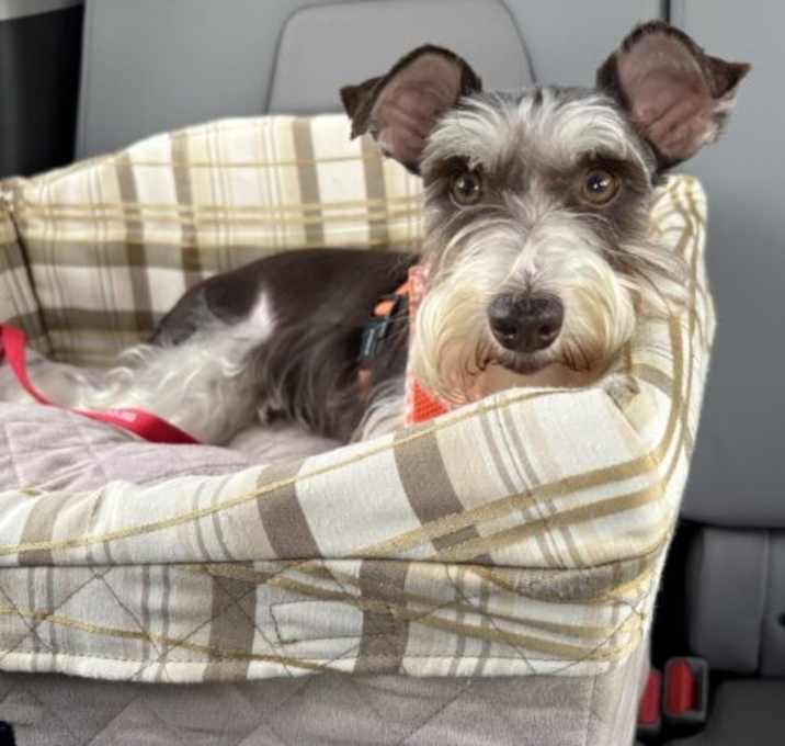 Photo of Matilda