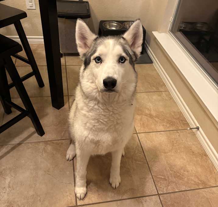 Photo of Sebastian