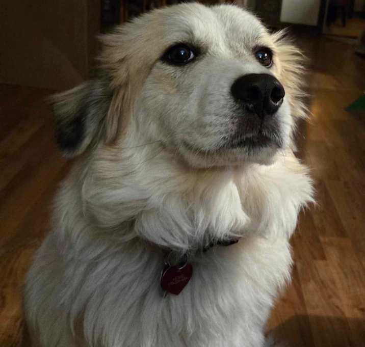 Photo of Astrid