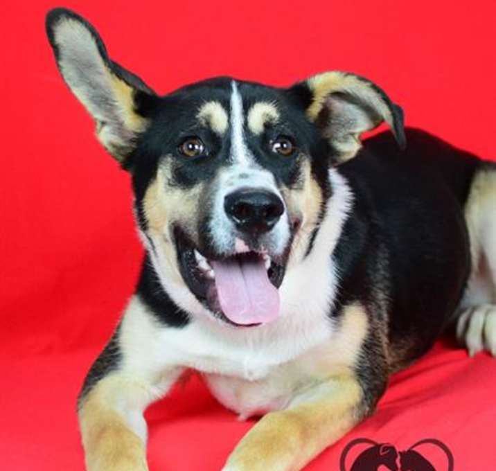Photo of WILBUR