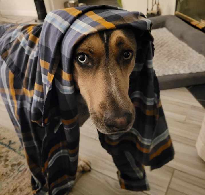 Photo of Batman
