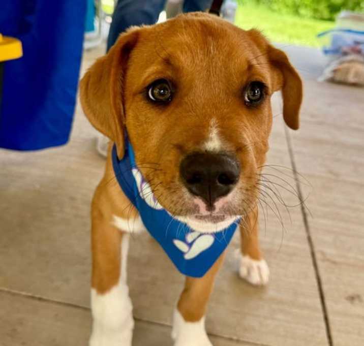 Photo of Cutie Rudy