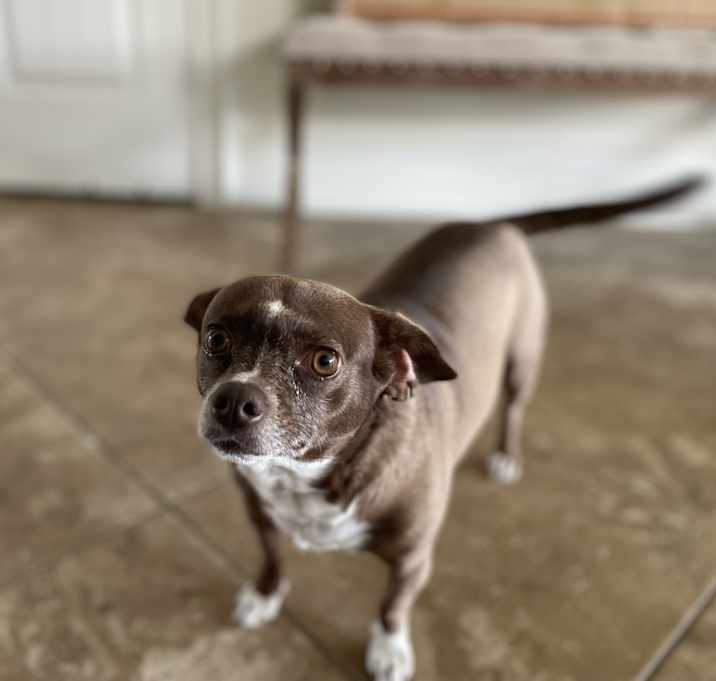 Photo of Dani