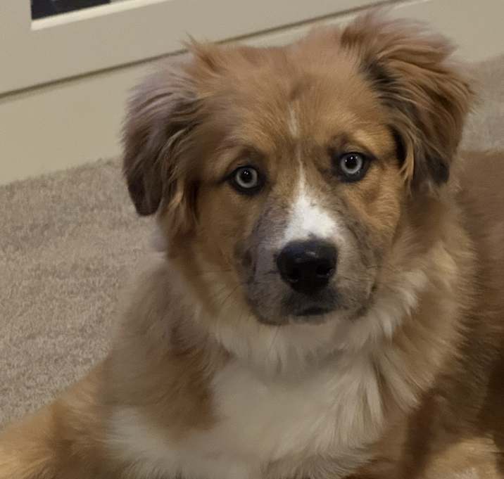 Photo of Mookie