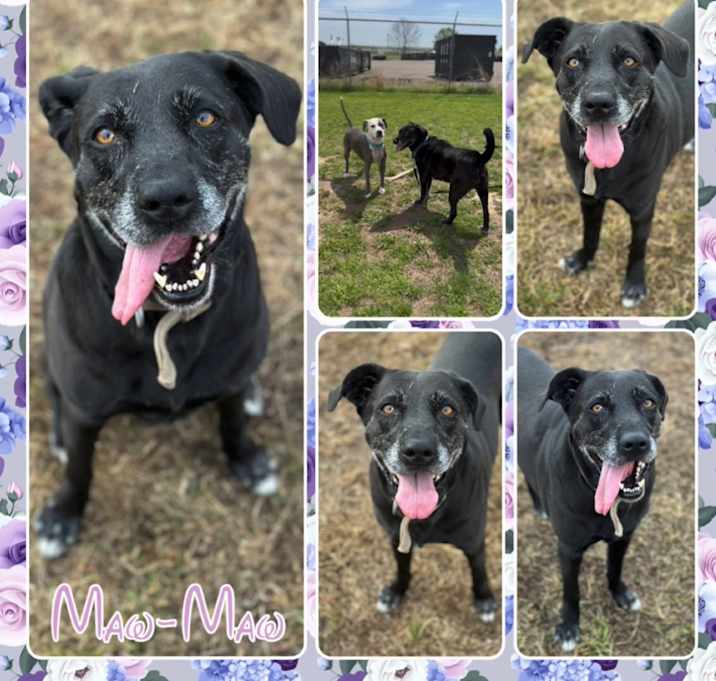 Photo of Maw-Maw