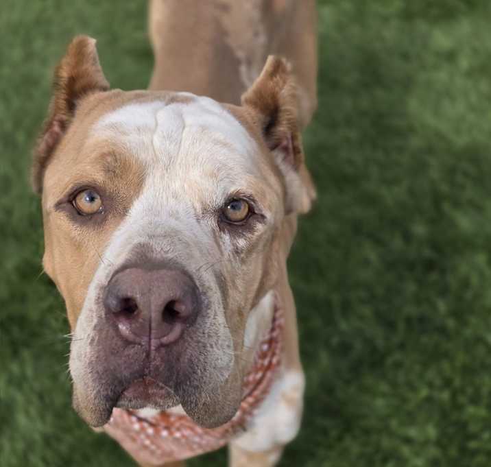 Photo of Gretta