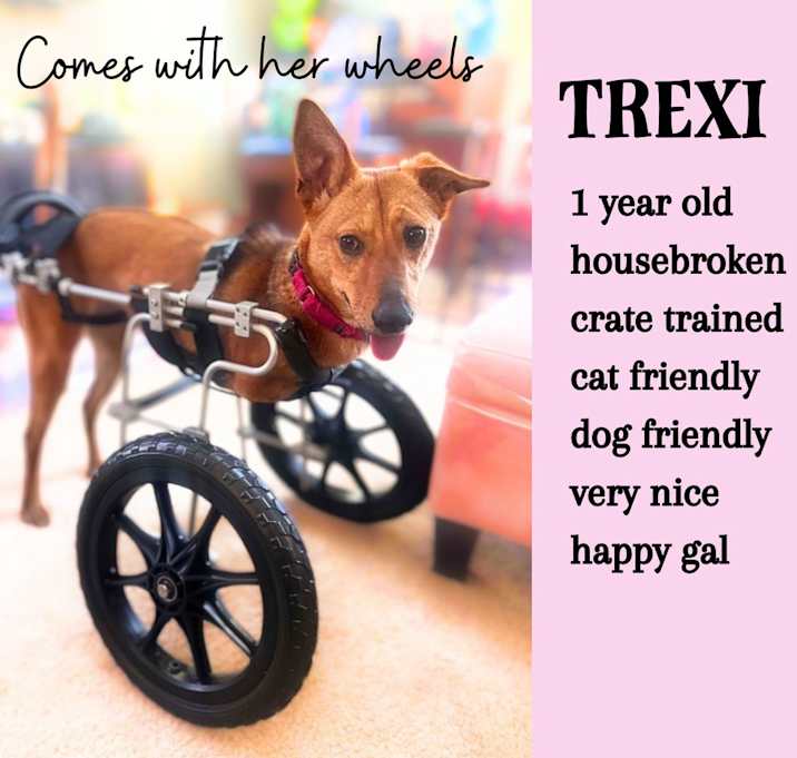 Photo of Trexi