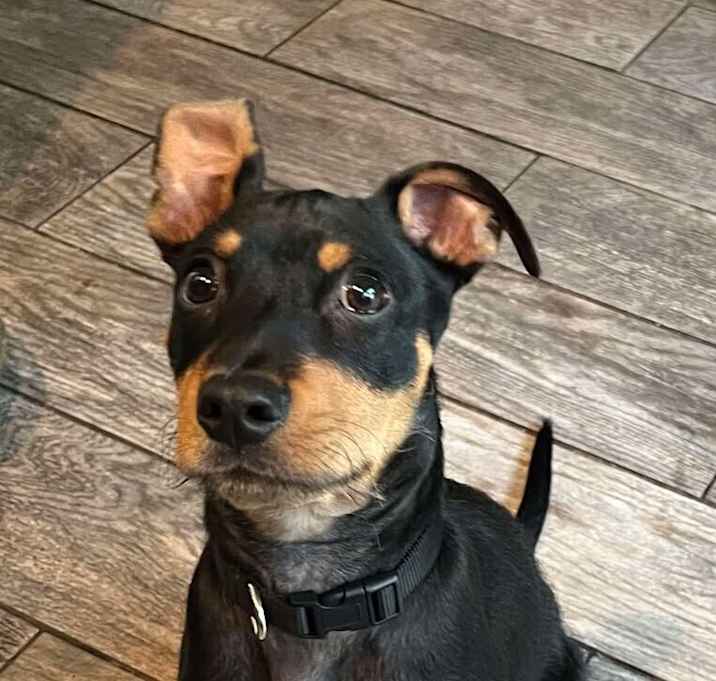 Photo of Georgie