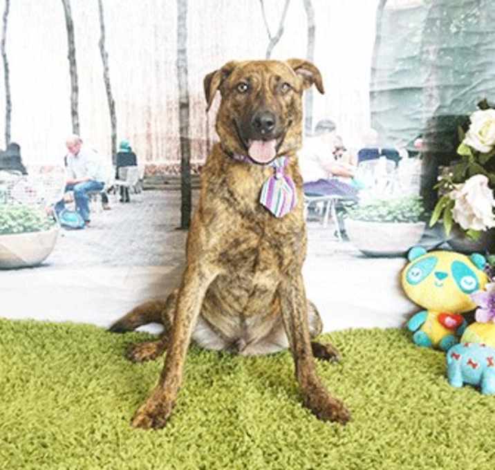 Photo of FORBES