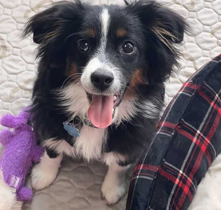 Photo of Benny