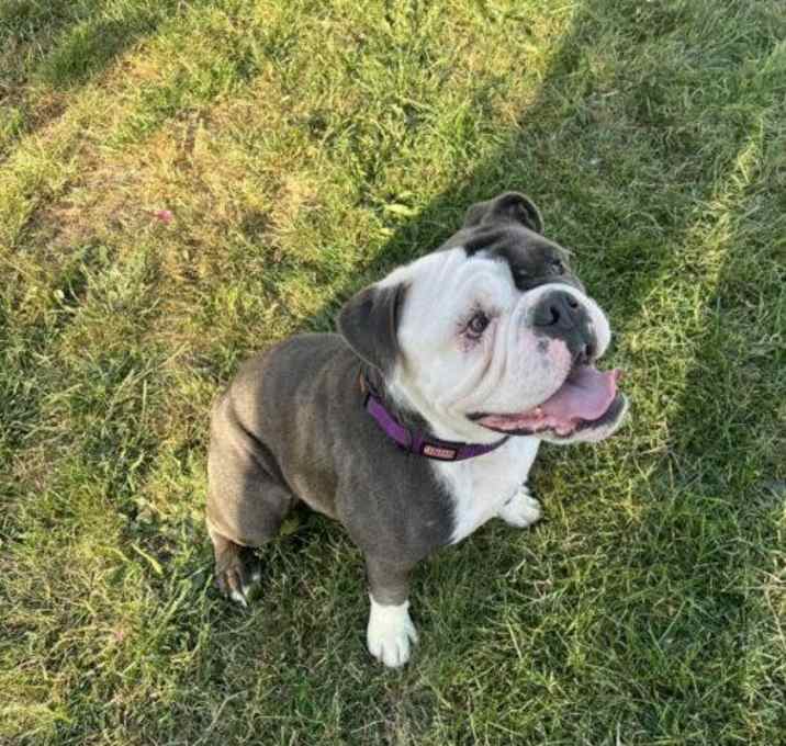 Photo of Lola