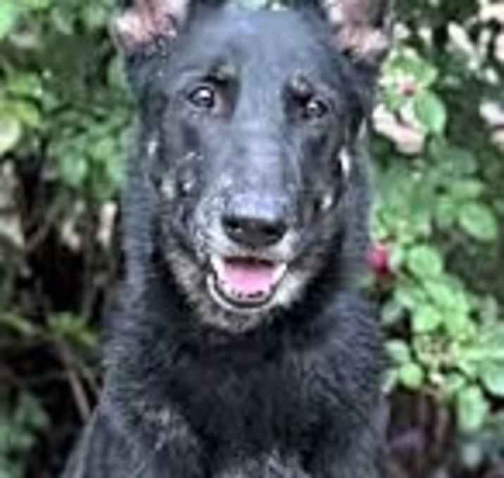 Photo of Belle