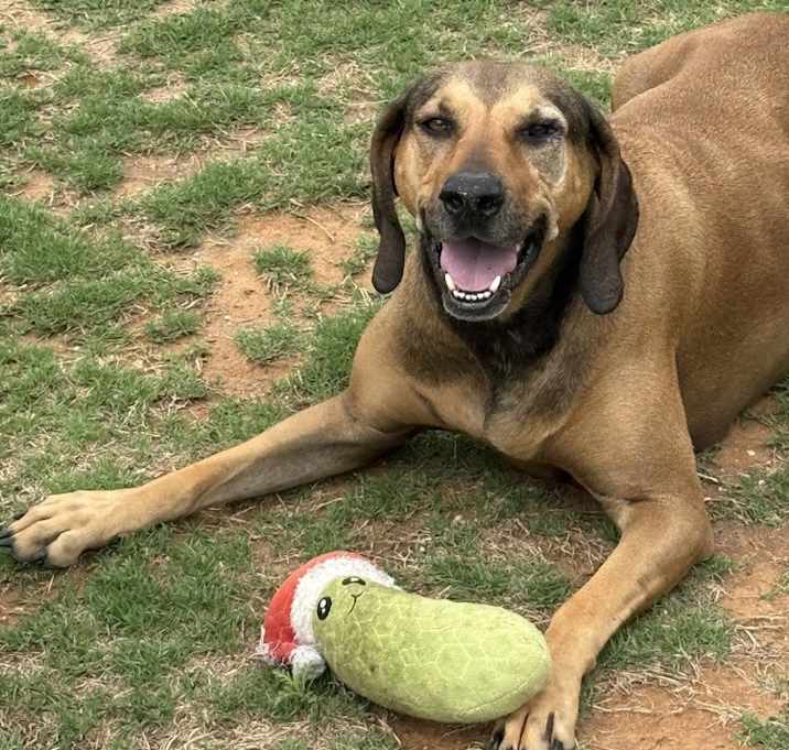 Photo of Maggie