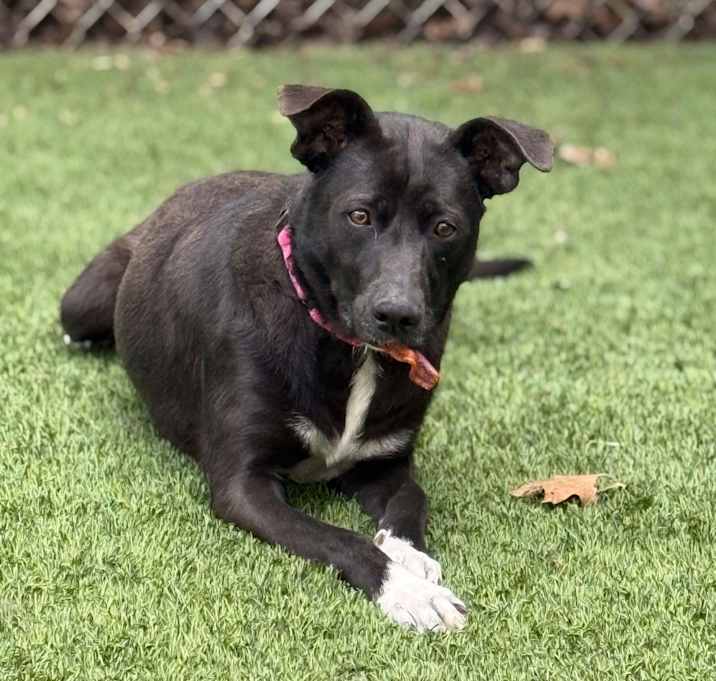 Photo of Ramona