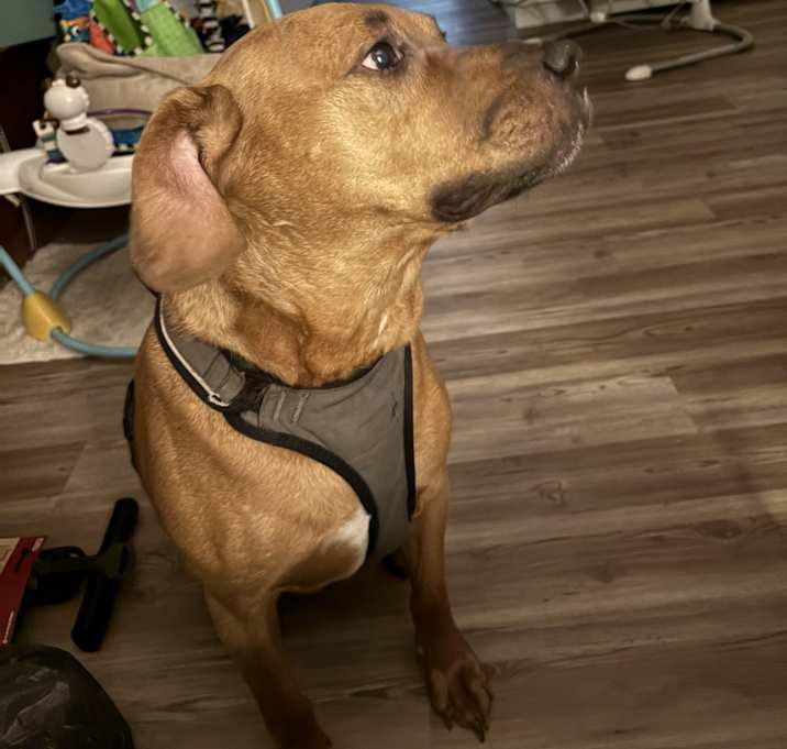 Photo of Sheriff