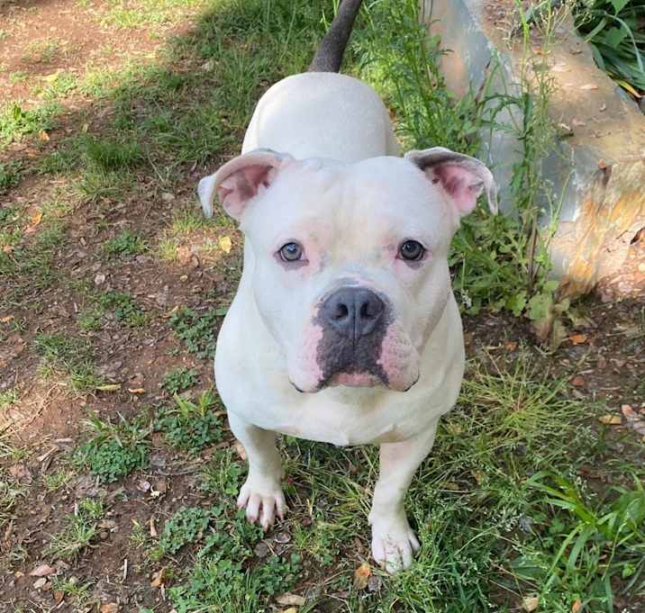 Photo of Buster