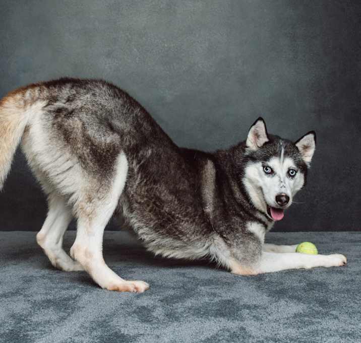 Photo of Macey