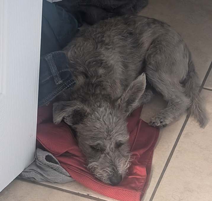 Photo of Charlie