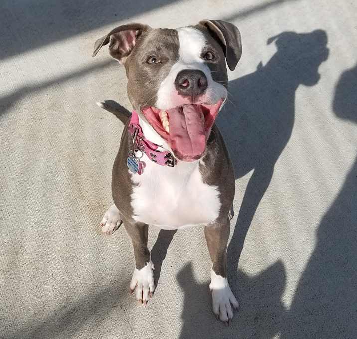 Photo of Leia