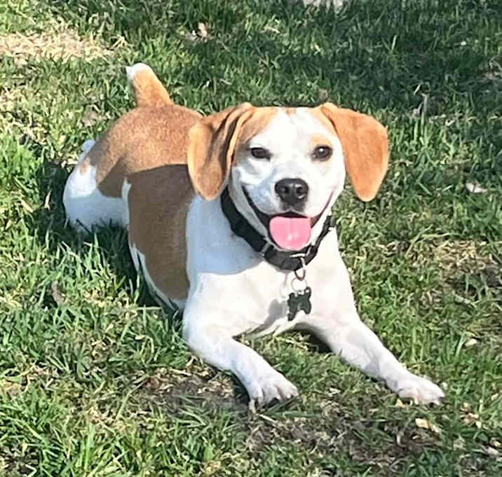 Photo of Zeus
