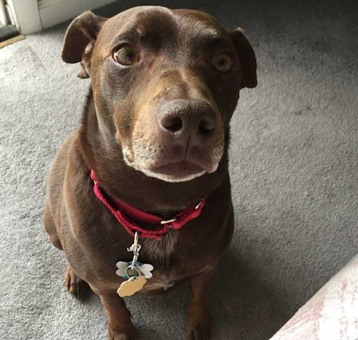 Photo of Bud