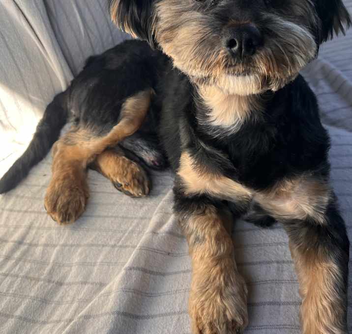 Photo of Charlie