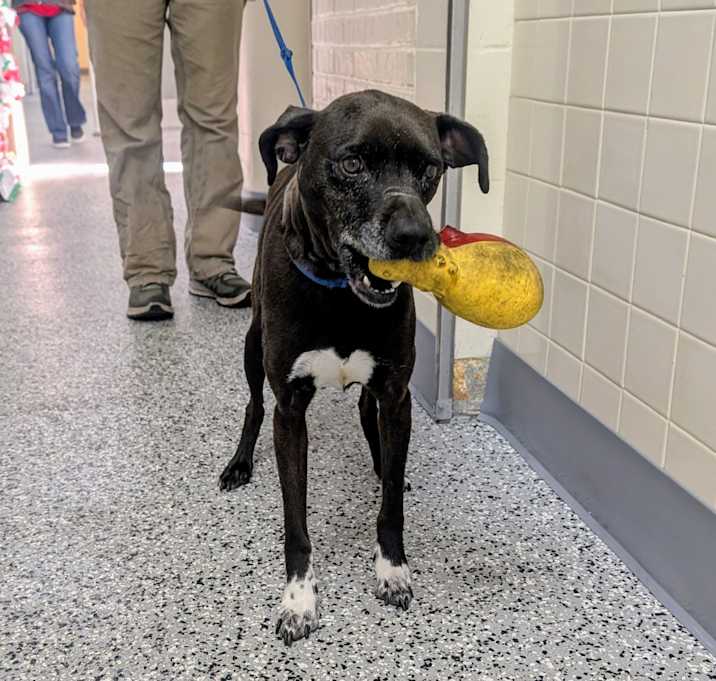 Photo of Vero (aka Riley) 