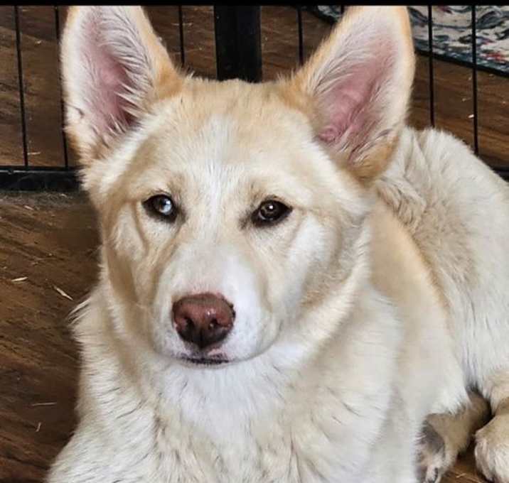 Photo of Sophia