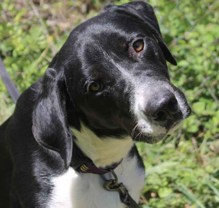 Photo of Sawyer